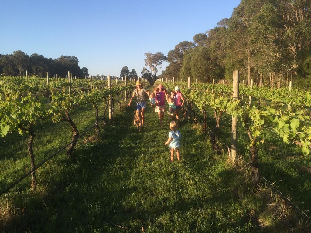 מרגרט ריבר Island Brook Estate Winery And Chalets מראה חיצוני תמונה
