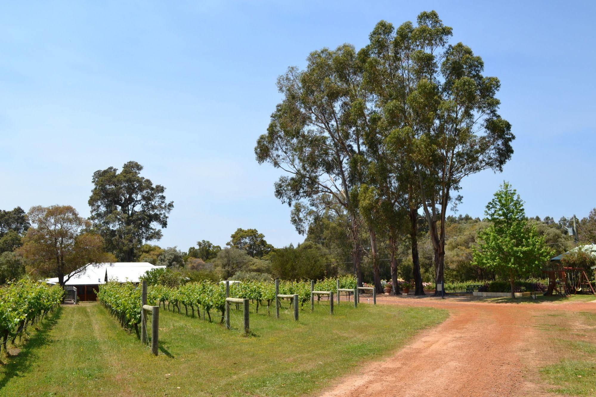 מרגרט ריבר Island Brook Estate Winery And Chalets מראה חיצוני תמונה